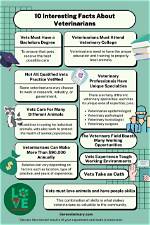 15 Interesting Facts About Veterinarians