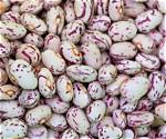 21 Other Savory Names for Pinto Beans