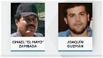 5 Men Brutalized: Cartel's Horrific Murder Spree