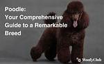 A Comprehensive Guide to This Remarkable Breed