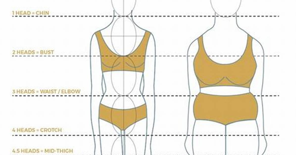 A Guide to Her Stunning Proportions