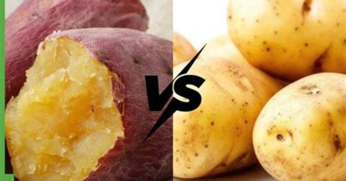 A Healthier Choice: Discover the Healthiest Potato Options for Your Well-Being