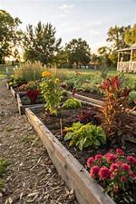 Affordable Tj Bark Mulch: Enhance Your Landscape