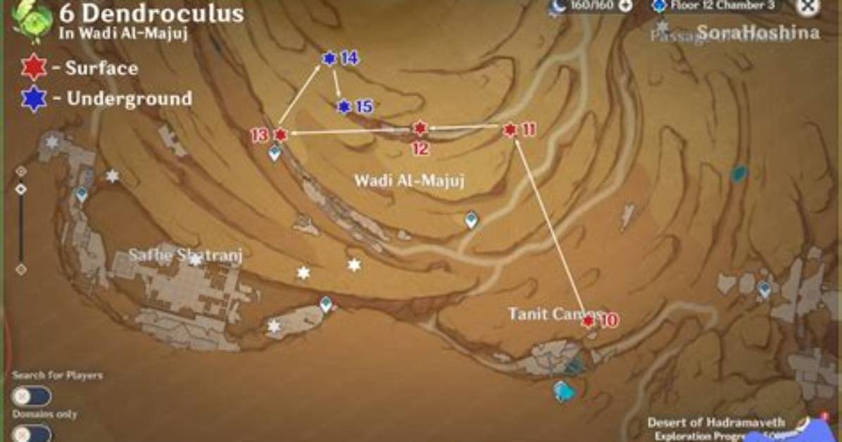 All 6 Dendroculus Locations in Wadi Al-Majuj (Desert of Hadramaveth)