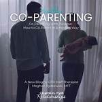 An Exploration of Relationships and Co-Parenting