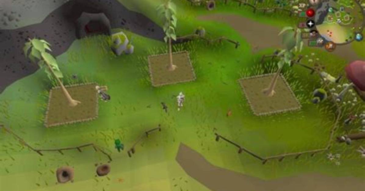 Best Tree Saplings Osrs: Grow Your Forest to Greatness