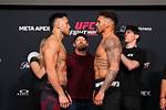 Brad Tavares's Net Worth: Insights into the Mma Star's Fortune