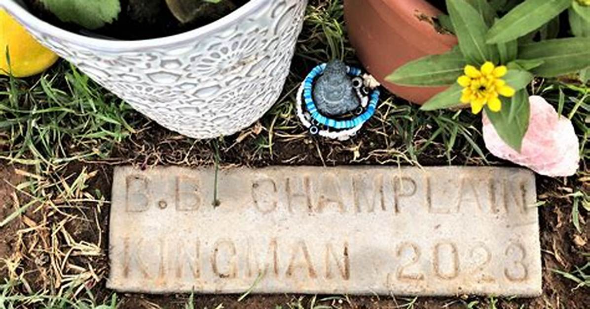 Brodee Braxton Champlain-Kingman Gofundme Raises over $21,000 as Encinitas Teen Killed in E-Bike Col ·