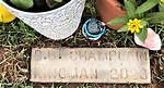 Brodee Braxton Champlain-Kingman Gofundme Raises over $21,000 as Encinitas Teen Killed in E-Bike Col ·