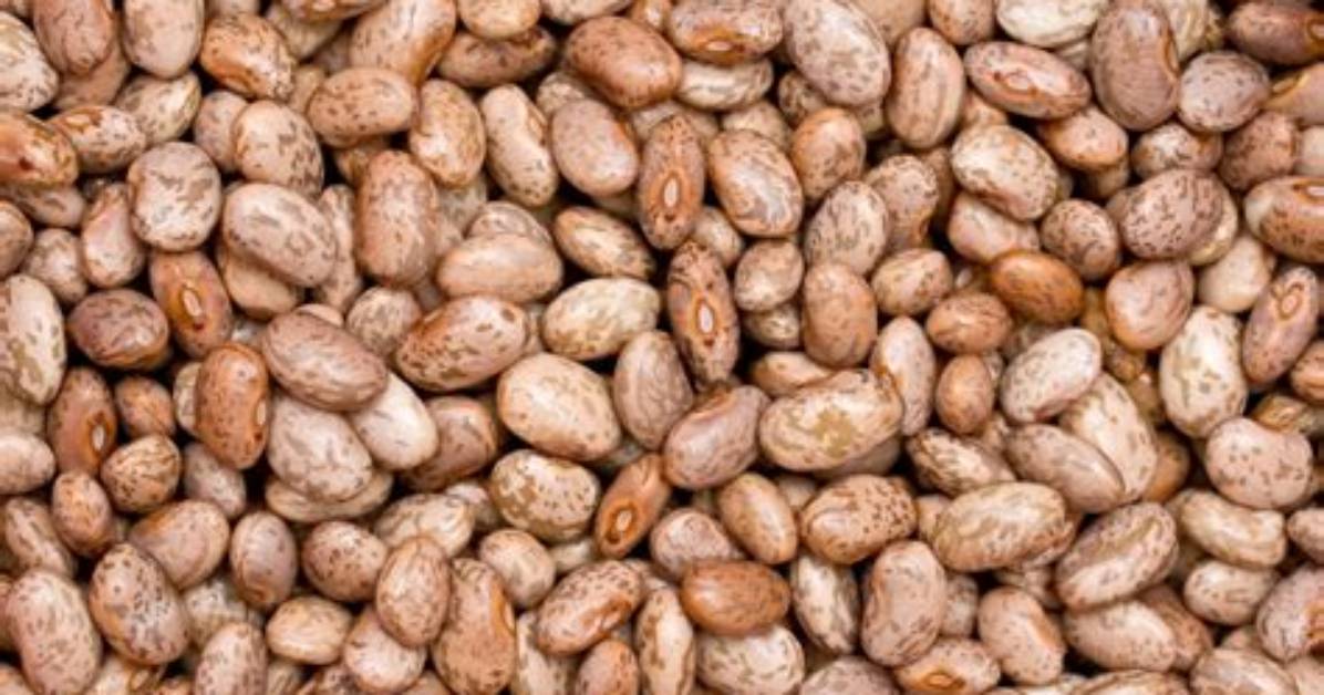 Creative Nicknames for Pinto Beans: a Comprehensive Guide