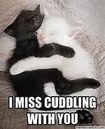 Cuddle up with the Best Cuddle Memes
