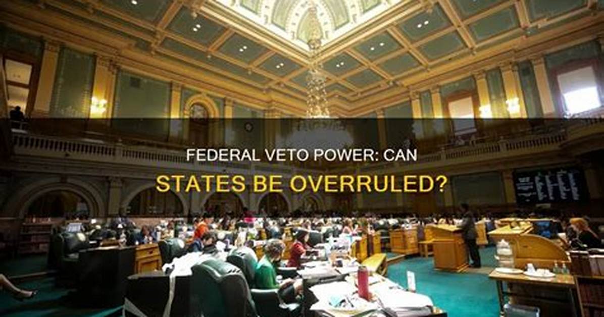 Did Cameron Unleash the Power of Veto? Uncover the Truth!