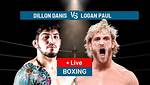 Dillon Danis and Logan Paul Fight over Nina Agdal