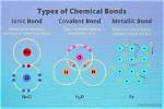 Disclosing the Types of Chemical Bonds Essential for Dna Stability