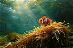 Discover the Enchanting Bosque Oceanico: a Marine Paradise