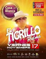 Discover the Secrets Behind El Tigrillo Palma's Age