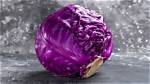 Discover the Taste Distinction: Purple Cabbage vs Green Cabbage