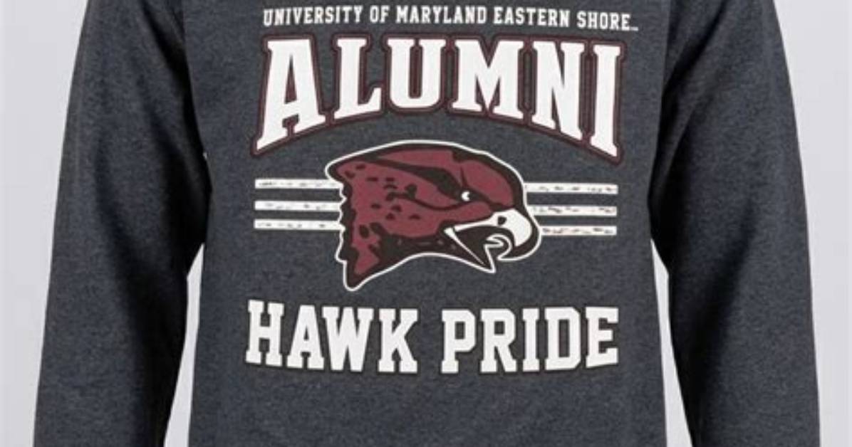 Discover Treasures and Uncover University Pride