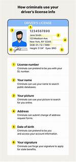 Discover Your License Number: a Step-by-Step Guide