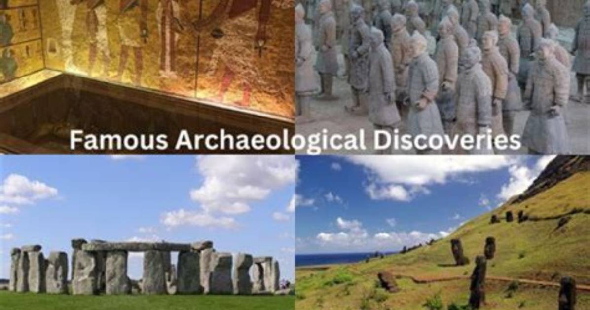 Discoveries and Insights for the "Lins24" Niche