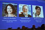 Discoveries from Nobel Laureate Marcia Kandell