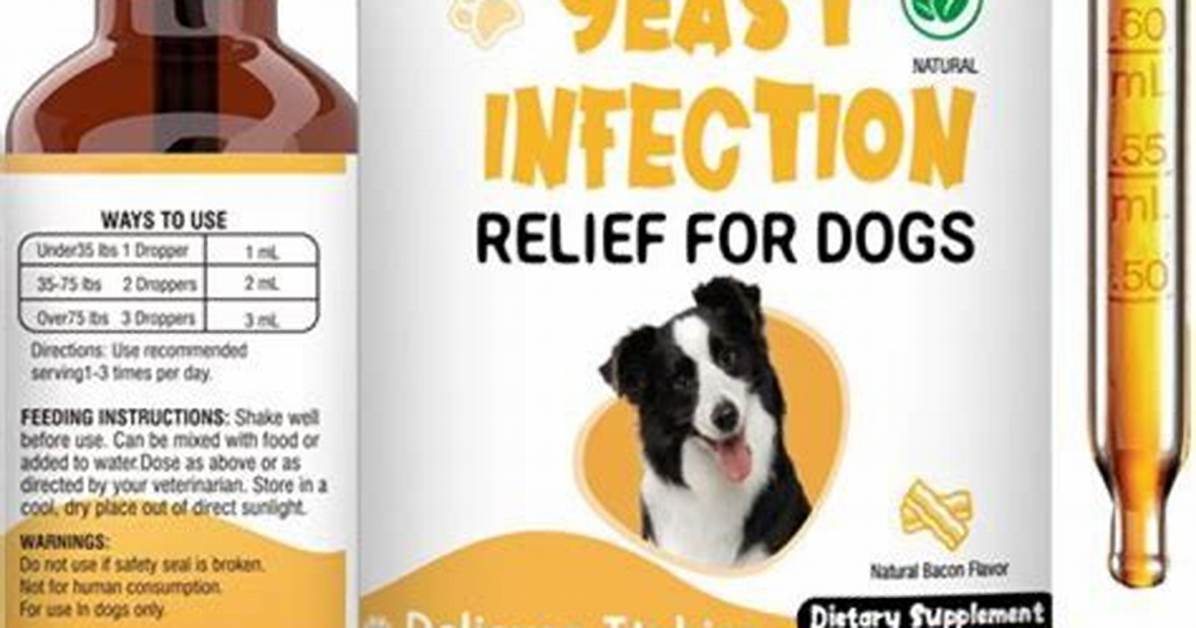 Do Bidets Help Fight Yeast Infections? Discover the Truth