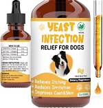 Do Bidets Help Fight Yeast Infections? Discover the Truth