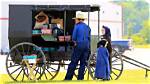 Do the Amish Have a Lot of Puppy Mills