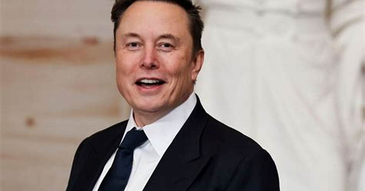 Elliot Rush Musk Height, Weight, Net Worth, Age, Birthday, Wikipedia, Who, Nationality, Biography