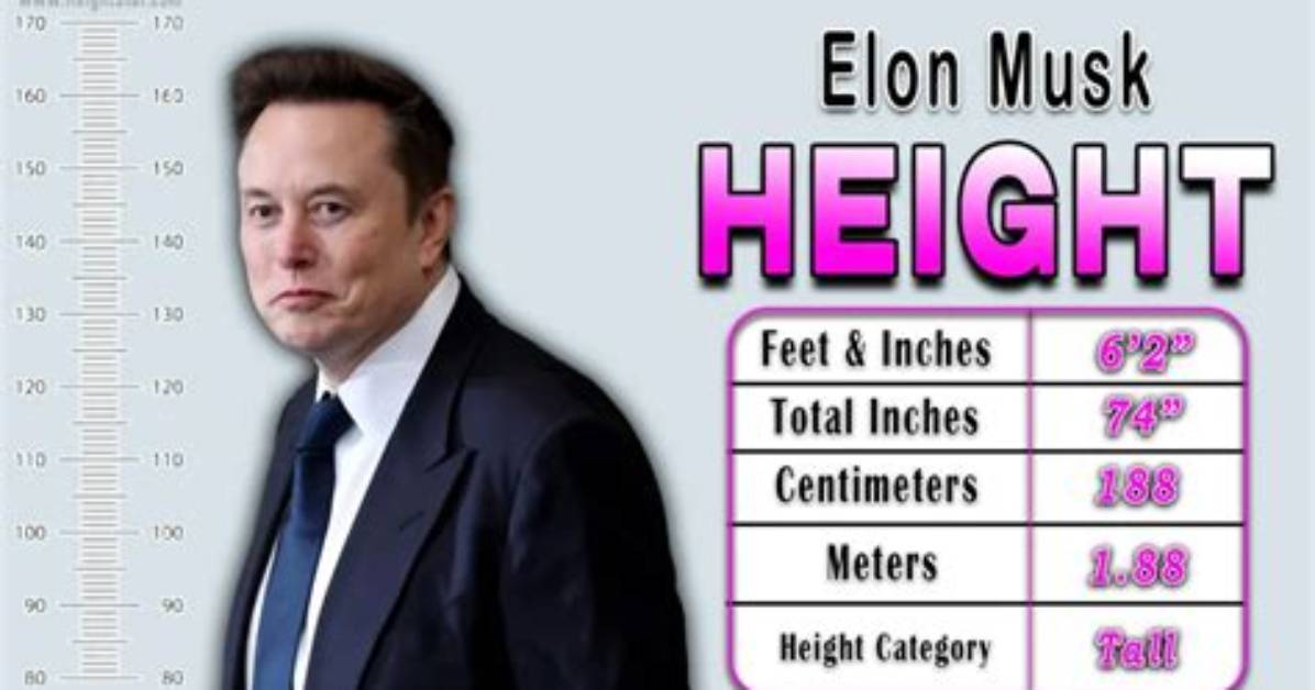 Elon Musk: How Tall Is the Visionary Ceo?