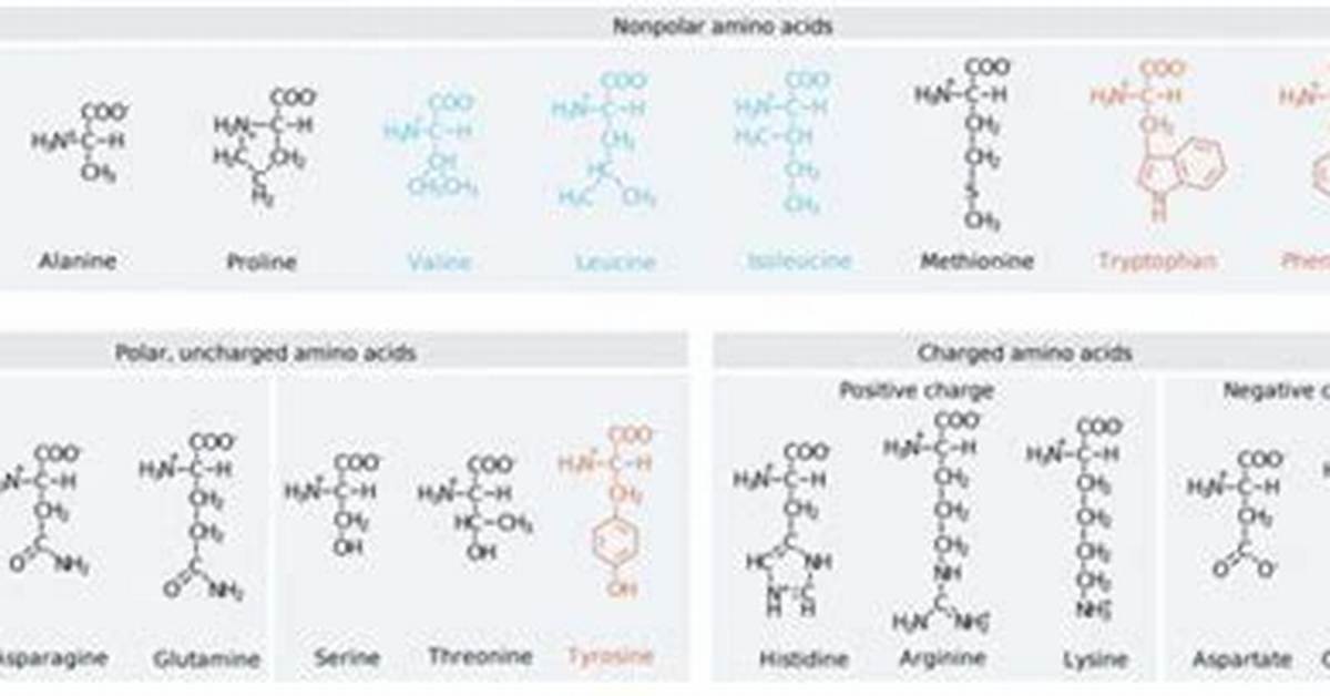 Essential Guide to Amino Acid Polarity: Understanding Molecular Interactions