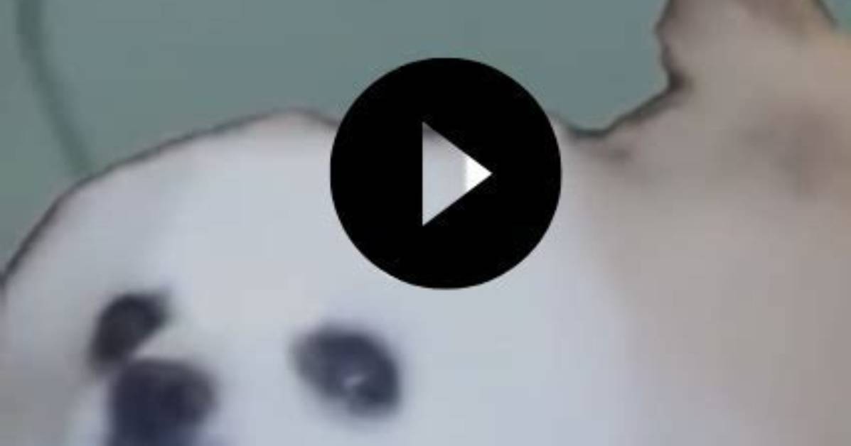Exclusive: Leaked Video of Skirby's Wild Misadventures Surfaces