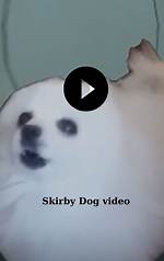 Exclusive: Leaked Video of Skirby's Wild Misadventures Surfaces