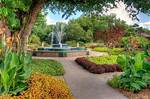 Explore the Secrets of Botanica Garden Centers