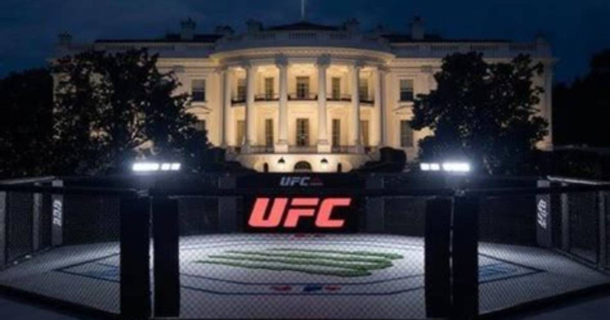 Exploring the Background of the Ufc Star