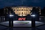 Exploring the Background of the Ufc Star