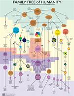 Family Tree and Ethnicity ·