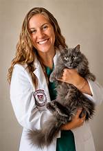 Find a Compassionate and Experienced Veterinarian | Danielle Spencer, Dvm
