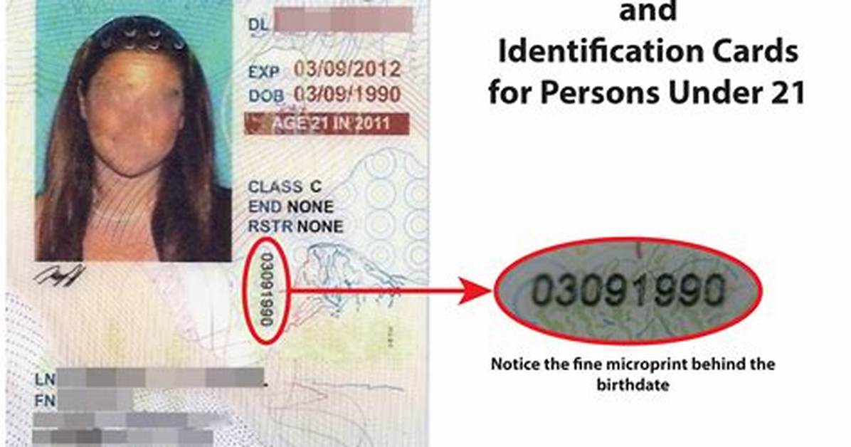 Find Your Driver's License Number: a Quick Guide