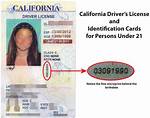 Find Your Driver's License Number: a Quick Guide