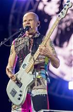 Find Your Groove: Flea Musician Music Groups to Elevate Your Playlist