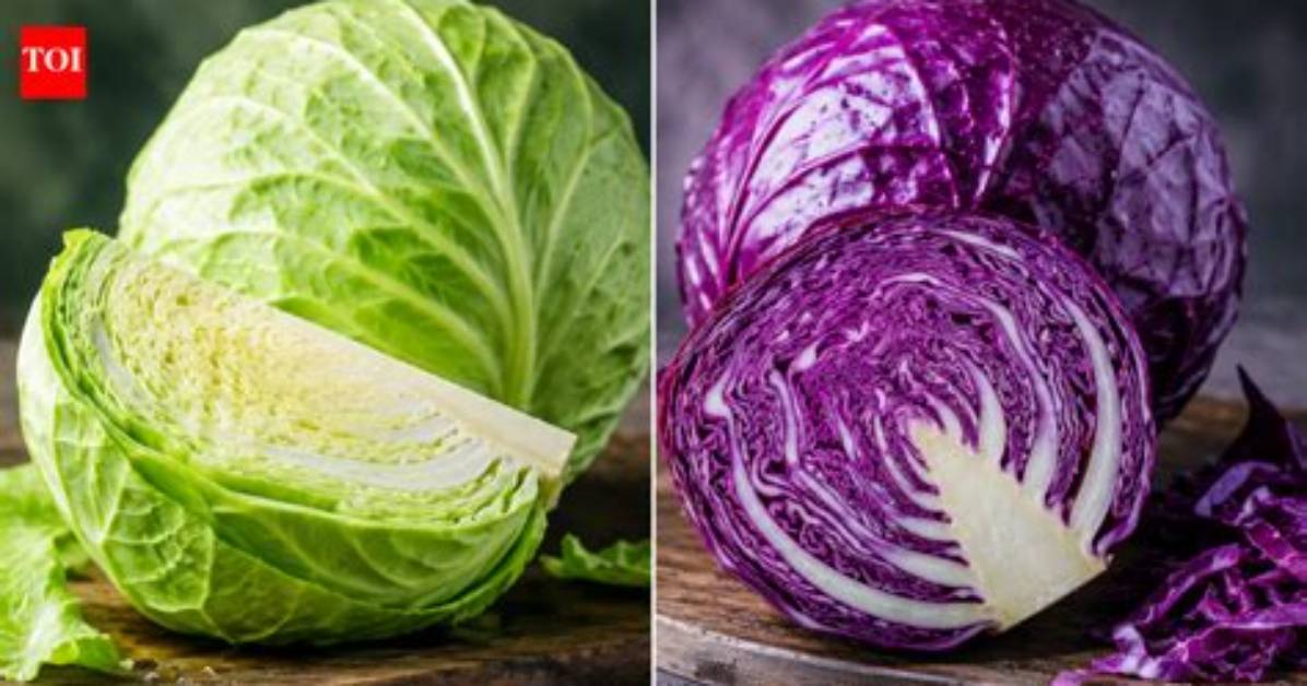 Green Cabbage vs Purple Cabbage: Nutritional and Culinary Differences
