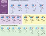 Guide to Amino Acid Polarity: Understanding the Basics
