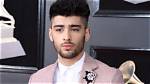 How Much Is Zayn Malik Worth? ·