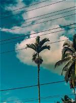 How Old Is Palm Trees and Power Lines Cast? Wikipedia and Family ·
