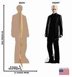 How Tall Is Draco Malfoy