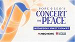Insights and Discoveries from Nbc News