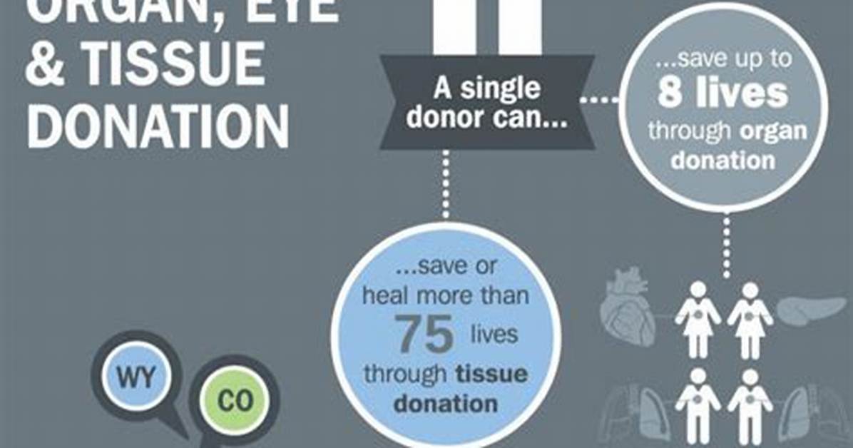Insights into Organ Donation and Saving Lives