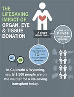 Insights into Organ Donation and Saving Lives