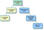 Introducing the Dual Court System: a Comprehensive Guide